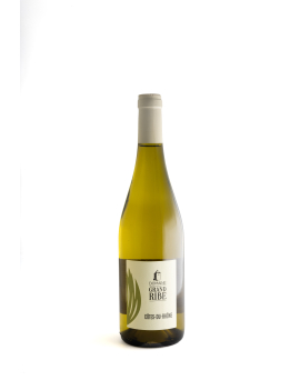 Côtes-du-Rhône Blanc 2024