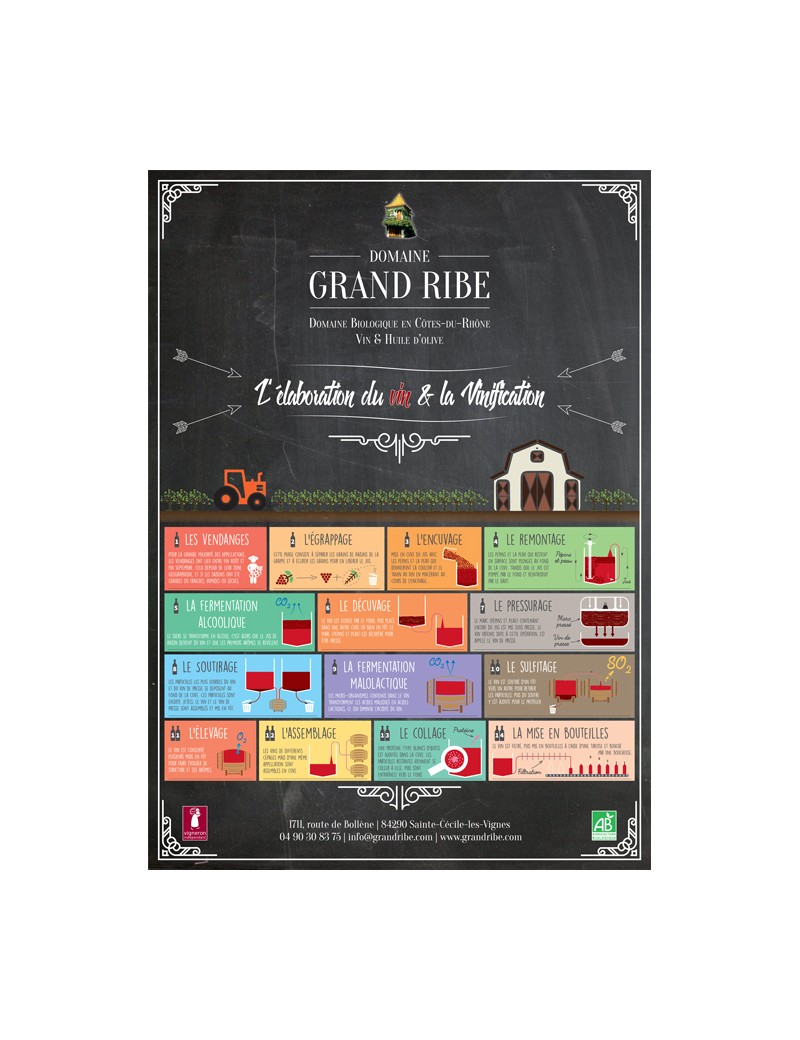 Affiche sur le processus de vinification du vin rouge Grand Ribe Affiche sur le processus de vinification du vin rouge Grand Ribe